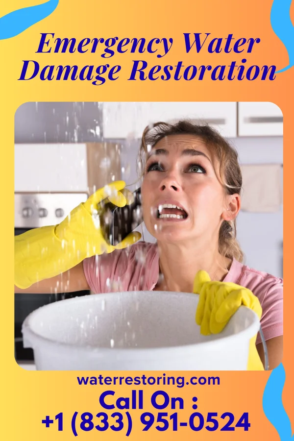 Emergency Water Damage Restoration in Leisure Village East, NJ