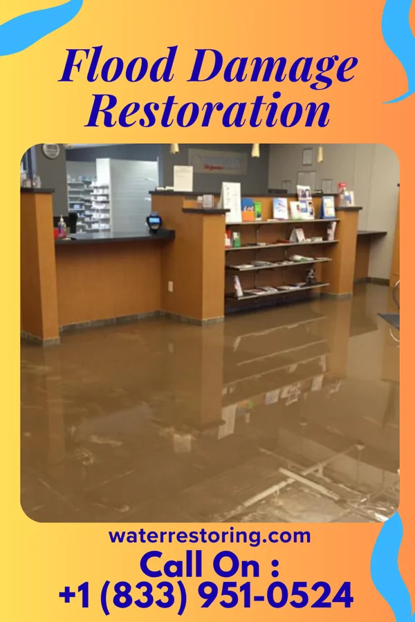 Flood Damage Restoration in Leisure Village East, NJ