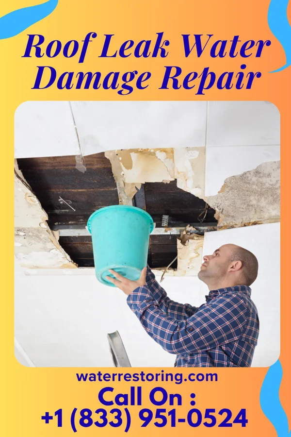 Roof Leak Water Damage Repair in Leisure Village East, NJ