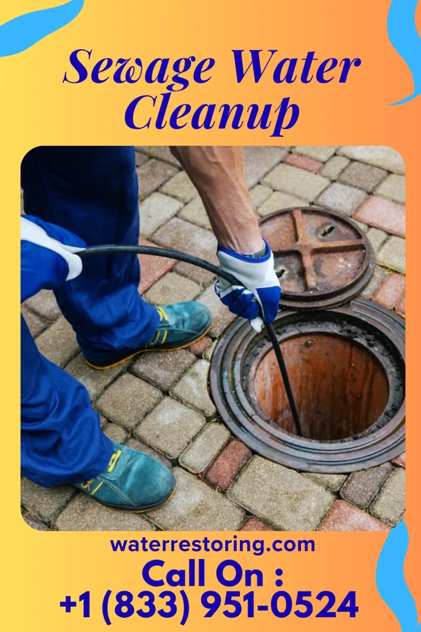 Sewage Water Cleanup in Leisure Village East, NJ