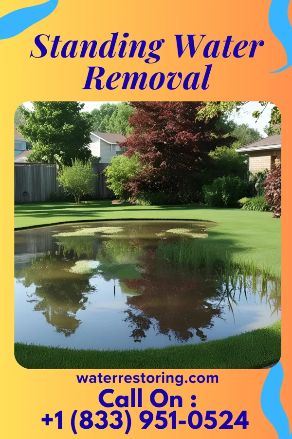 Standing Water Removal in Leisure Village East, NJ